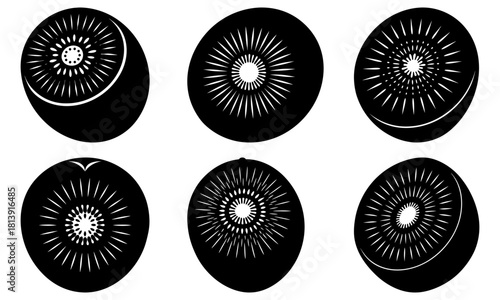 Six monochrome kiwi fruit halves and cross sections in varying perspectives and orientations displayed