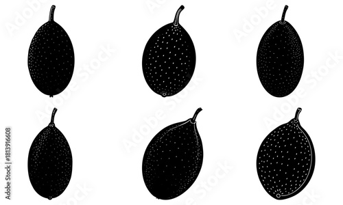 Illustration of six black and white oblong shaped fruits with stems in varying orientations on white background