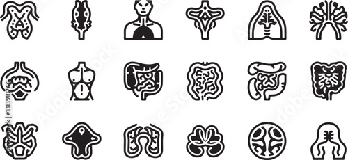 Collection of stylized icons representing human internal organs and anatomy