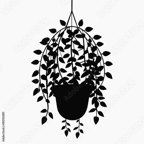 Silhouette of a hanging potted plant with cascading vines