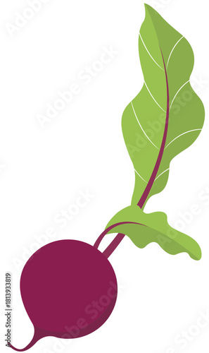 beet