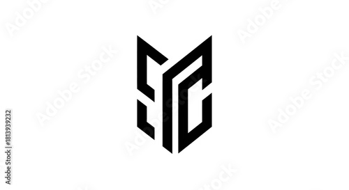 Geometric design with interconnected black lines, representing a modern abstract logo concept for