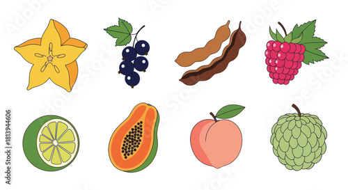 Assortment of fresh fruits colorful illustrations on white background