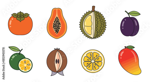 Assortment of fresh tropical fruits illustration isolated on white background