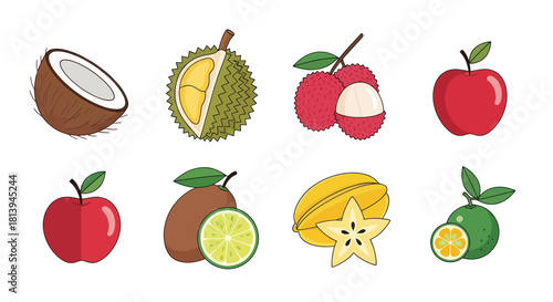 Assortment of fresh tropical fruits illustration on white background