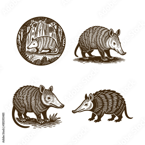 Vintage engraving style illustration set featuring an Aardvark (African ant-eater) in a natural environment