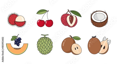 Assortment of vibrant tropical fruits depicted with clean modern illustrations