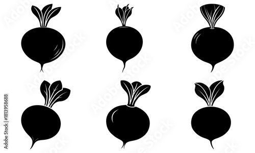 Silhouette illustration of six radishes with different leaf shapes and root orientations in a row