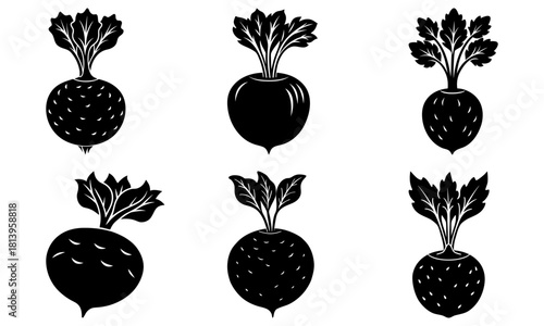 Six black and white vector illustrations of beets with varying textures and leaf arrangements