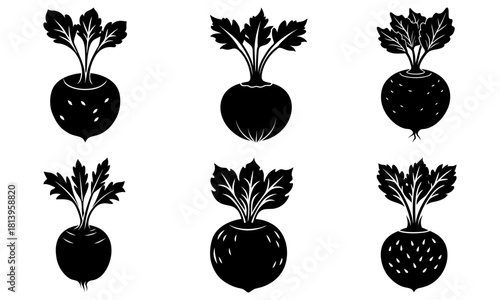 Illustration of six black and white root vegetables with leafy tops in varying shapes and sizes isolated