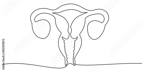 Continuous one line drawing of women's Uterus and Ovary. Single line female reproductive system, Woman reproductive system, continuous line. Line art outline of organs. Vector illustration