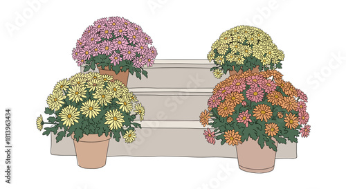 Potted chrysanthemums in various colors on steps outdoors  