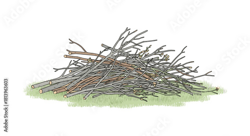 Pile of pruned branches resting on green grass in outdoor setting  