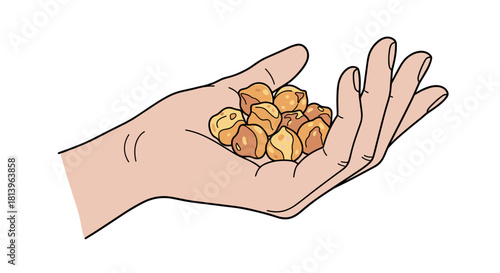 Hand holding roasted chickpeas in a relaxed position  