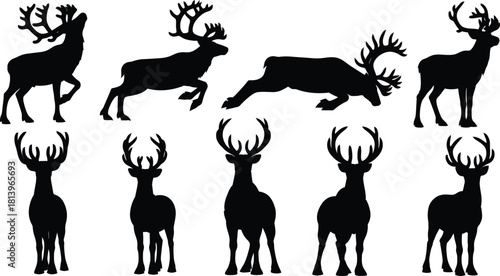 Deer silhouette collection various poses and antler styles