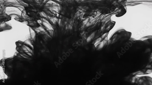 Abstract black ink swirling in white background