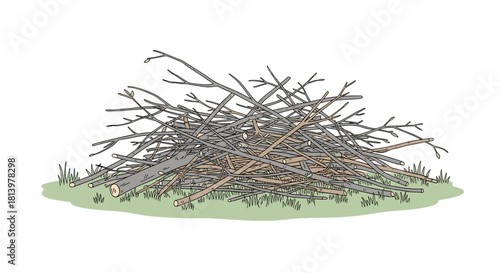 Pile of pruned branches resting on green grass in garden setting  