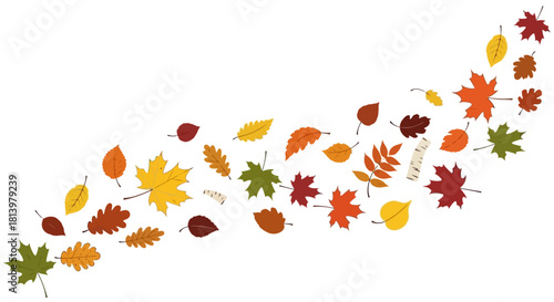 A vibrant illustration of various autumn leaves in different colors, creating a flowing, dynamic composition.