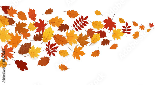 A vibrant illustration of autumn leaves in various shapes and colors, creating a dynamic visual.