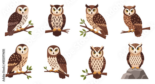 Collection of eight different owl illustrations, each perched on a branch or rock, showcasing varied poses.