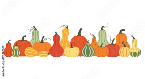 A vibrant illustration showcasing a variety of colorful pumpkins, perfect for autumn and harvest themes.