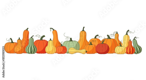 A colorful assortment of various pumpkins and gourds arranged in a horizontal line against a white background.