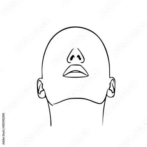 Upward-facing line drawing of a human head, showcasing facial features.