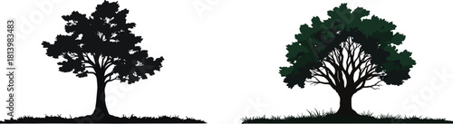 Tree silhouette and realistic tree illustration, nature landscape design, forest element art, environmental concept, eco background with grass and greenery
