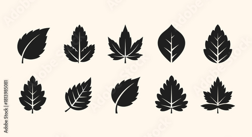 Floral arrangement featuring pink and white roses with eucalyptus leaves on a white background.