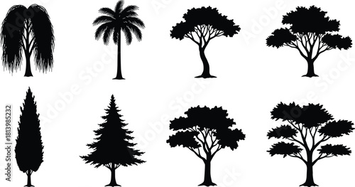 Silhouette collection of diverse tree types, black isolated vector trees including palm, pine, willow, oak, cypress, nature design elements