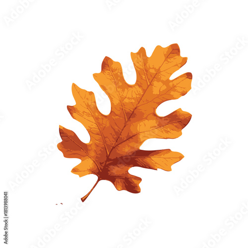 Vibrant Autumn Oak Leaf Isolated on White Nature's Seasonal Beauty
