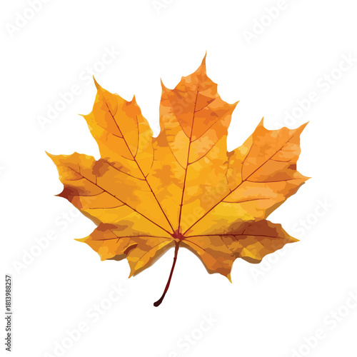 Wallpaper Mural Golden Maple Leaf Autumn Beauty on White Background Torontodigital.ca
