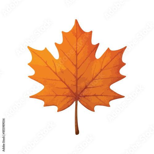 A vibrant watercolor illustration of a single autumn maple leaf on white