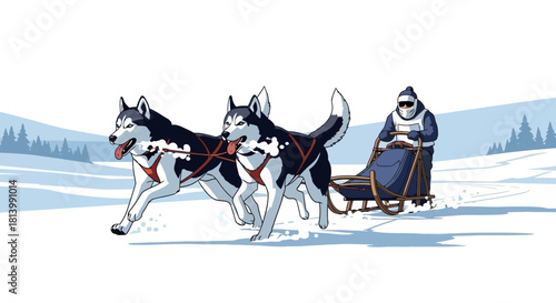 A musher drives a dog sled pulled by two powerful Siberian huskies across a vast, snowy winter landscape in this vector illustration.