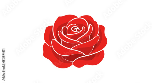 Illustration of a vibrant red rose with delicate white outlines on a white background.