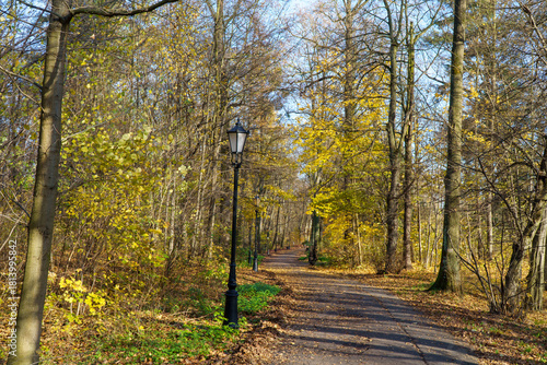 Fototapeta Naklejka Na Ścianę i Meble -  Park Pszczyna ze śląskiego rodu Promnitzów