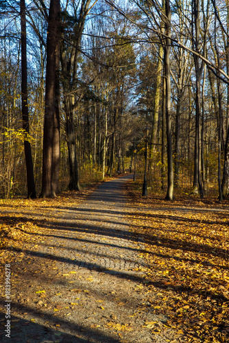 Fototapeta Naklejka Na Ścianę i Meble -  Park Pszczyna ze śląskiego rodu Promnitzów