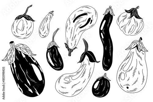 a collection of contour eggplants with white decorative lines