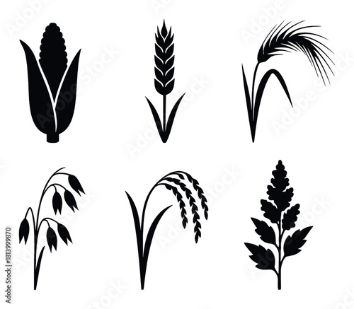 Silhouettes of various grains on dark background