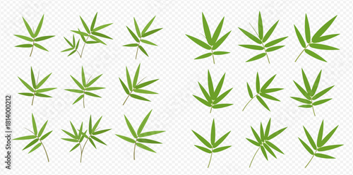 Illustration of bamboo leaves in various arrangements on a transparent background.