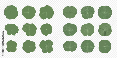 Overhead view of various tree crown shapes and sizes, arranged in a grid pattern.