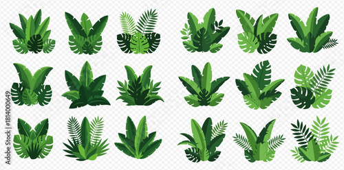 A collection of various green tropical plant illustrations, perfect for adding a touch of nature to any design.