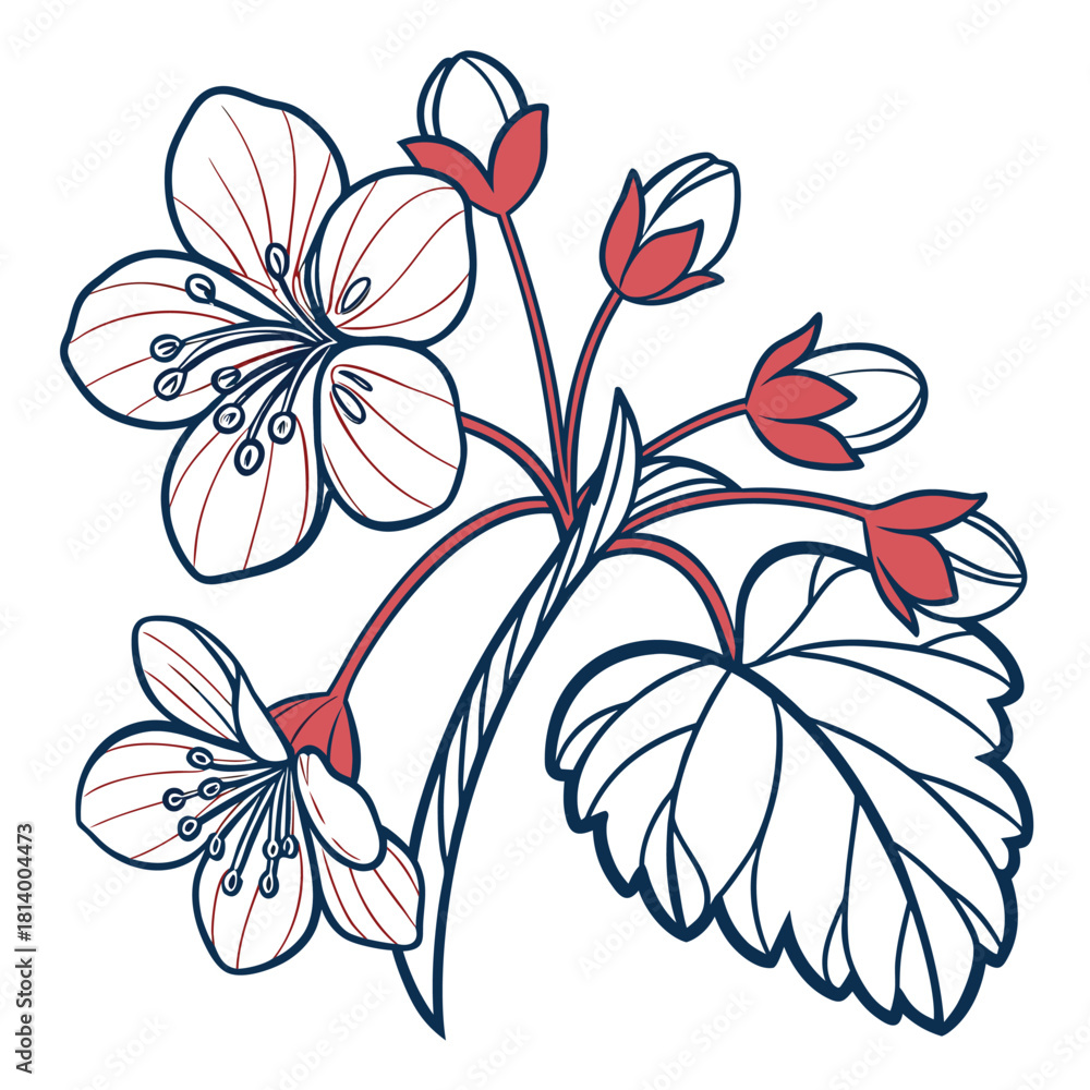 Fototapeta premium Begonia Flower Art with Red Buds and Veined Leaves