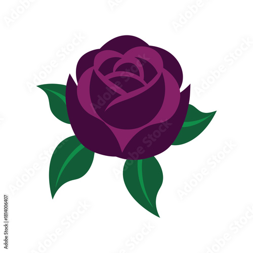 pink rose isolated on white