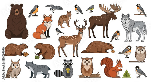 A collection of various cartoon-style woodland and forest animals isolated on a white background.