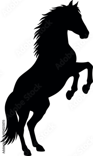 Black horse silhouette rearing up