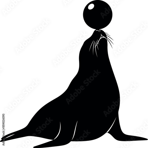 Silhouette seal balancing ball