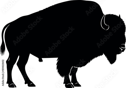 Black buffalo silhouette