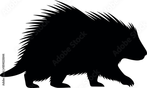Porcupine silhouette walking wildlife icon