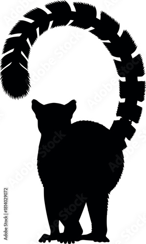Ring tailed lemur silhouette wildlife icon